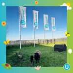 Ukomst lente